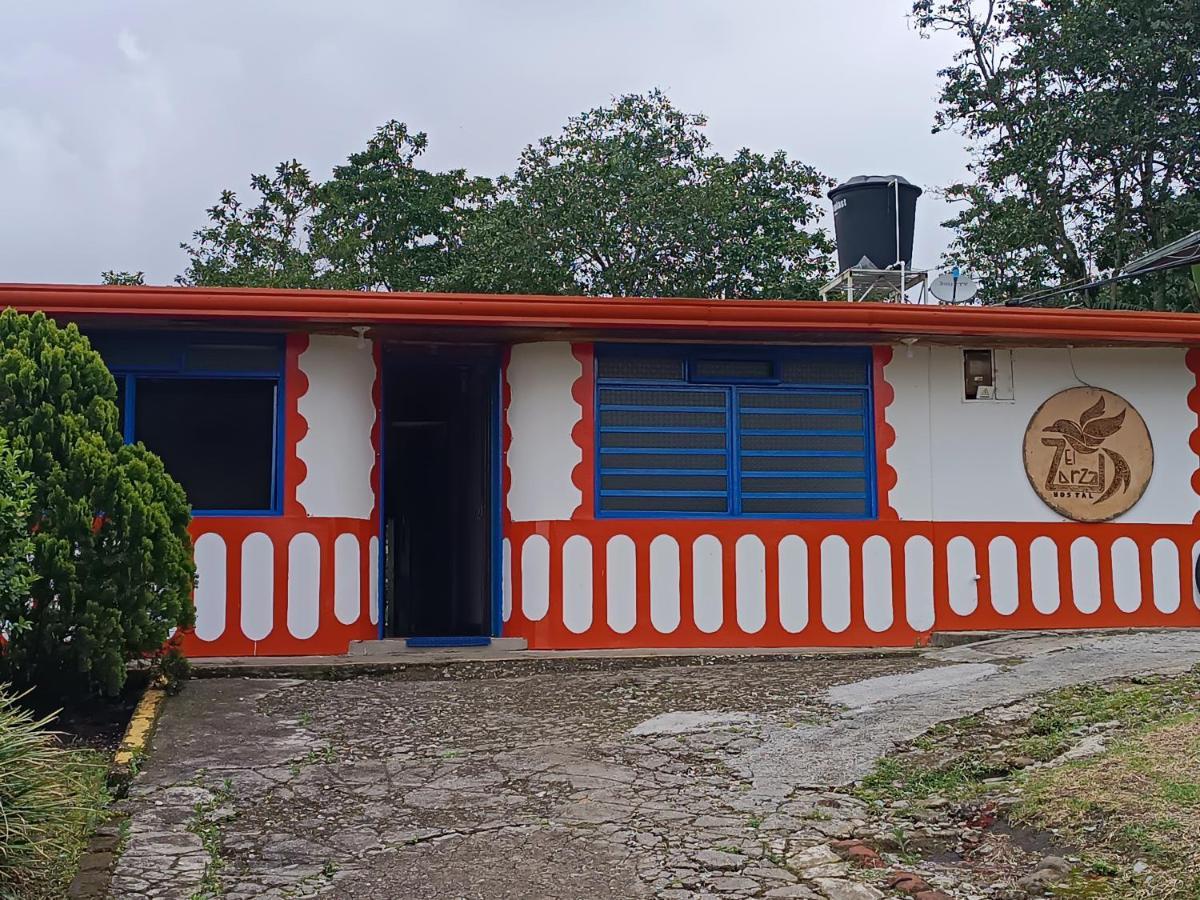 El Zorzal 2*