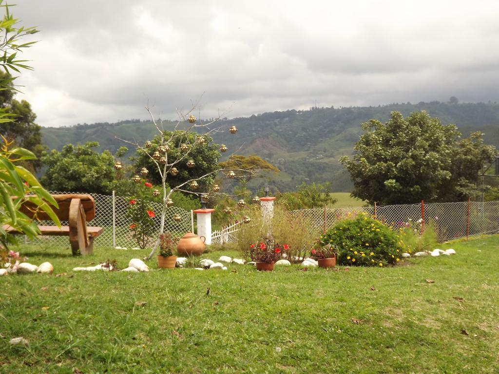El Zorzal