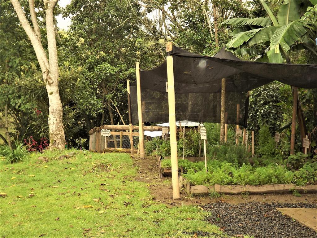 El Zorzal Hotel 2*