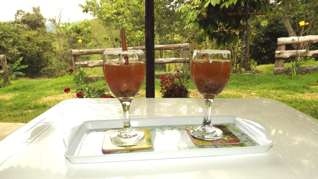 Hotel El Zorzal 2*