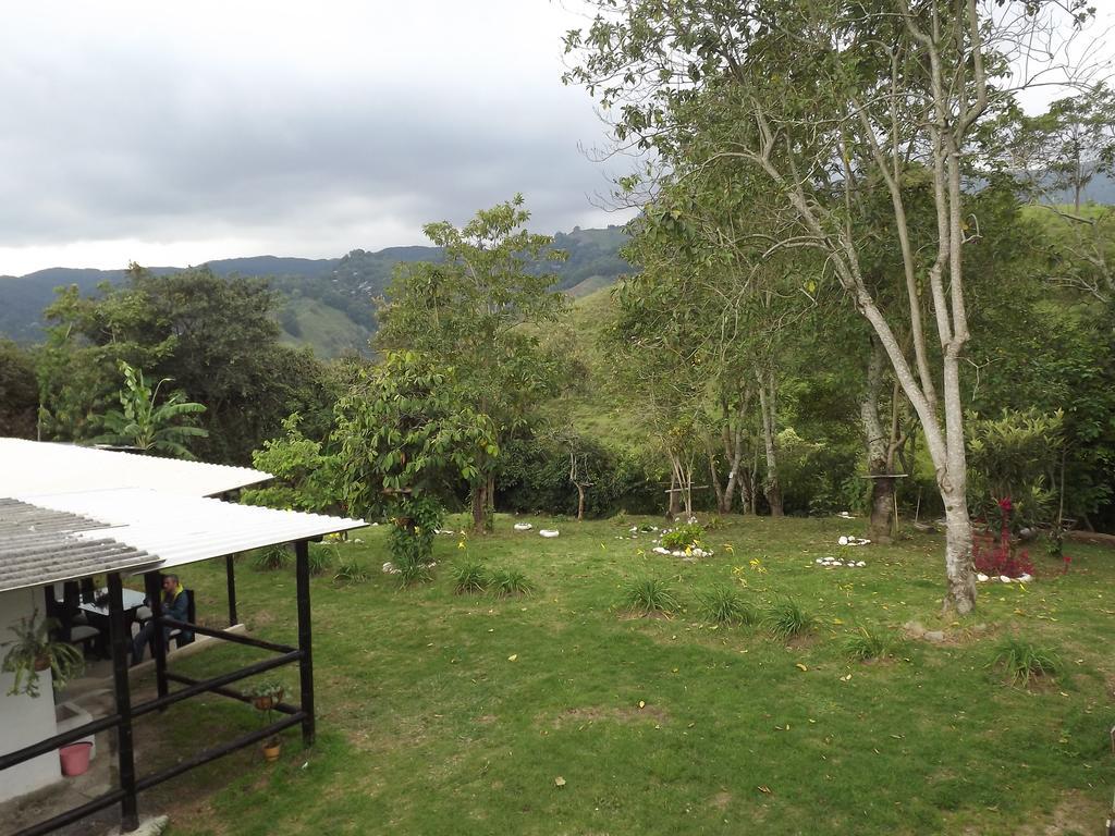 El Zorzal