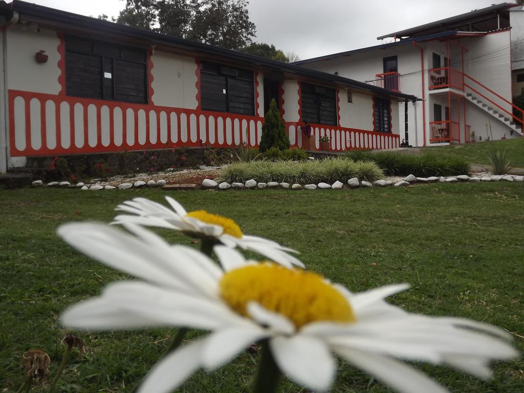 Hotel El Zorzal Salento