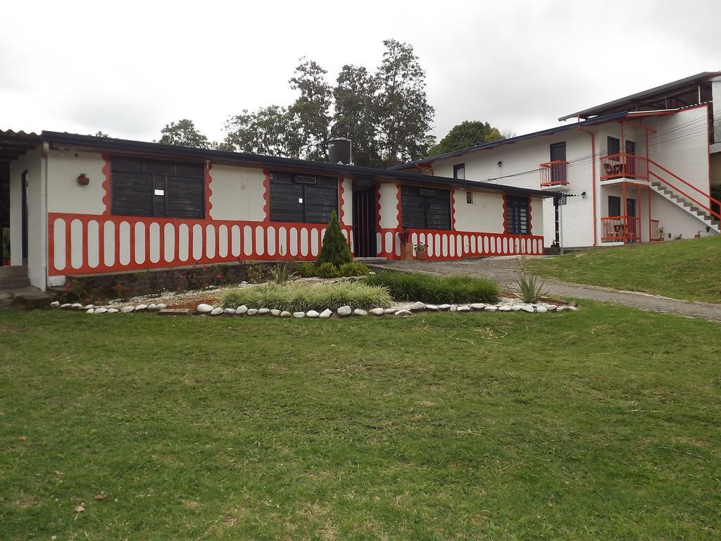El Zorzal